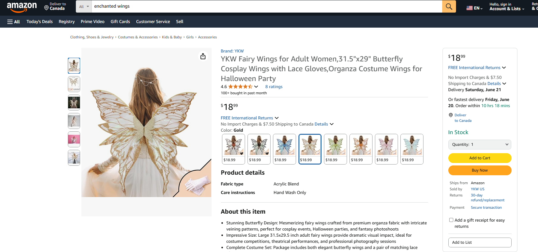 Enchanted Fairy Wings